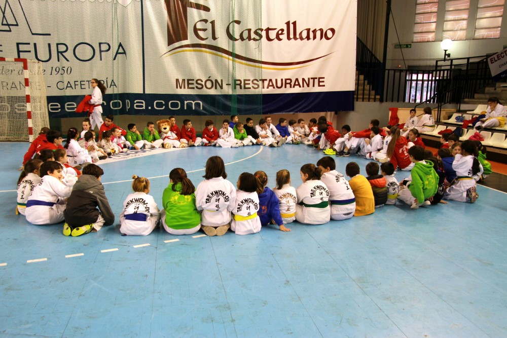 Taekwondo Dic 2016 (203).jpg